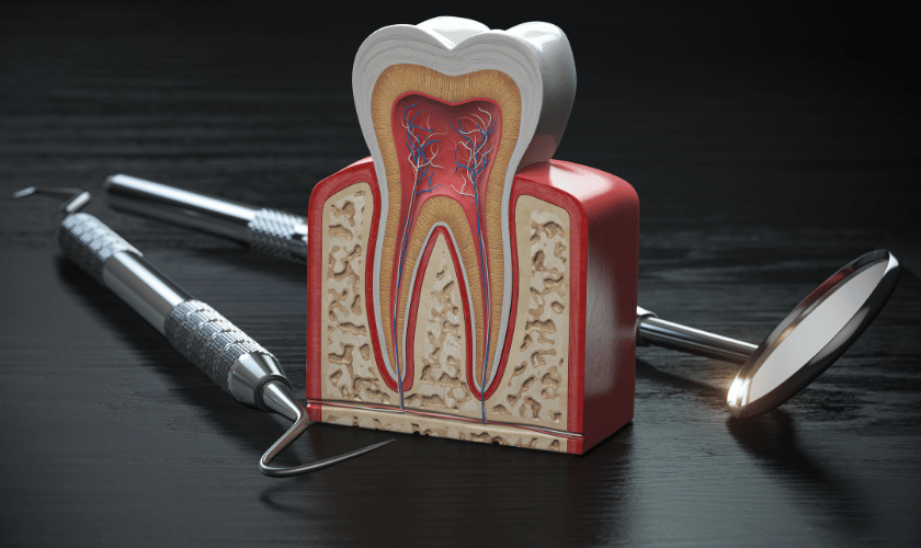 Regaining Oral Health: The Benefits of Bone Grafting in Dentistry