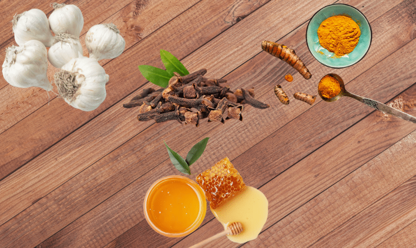 Strongest Natural Antibiotic For Tooth Infections