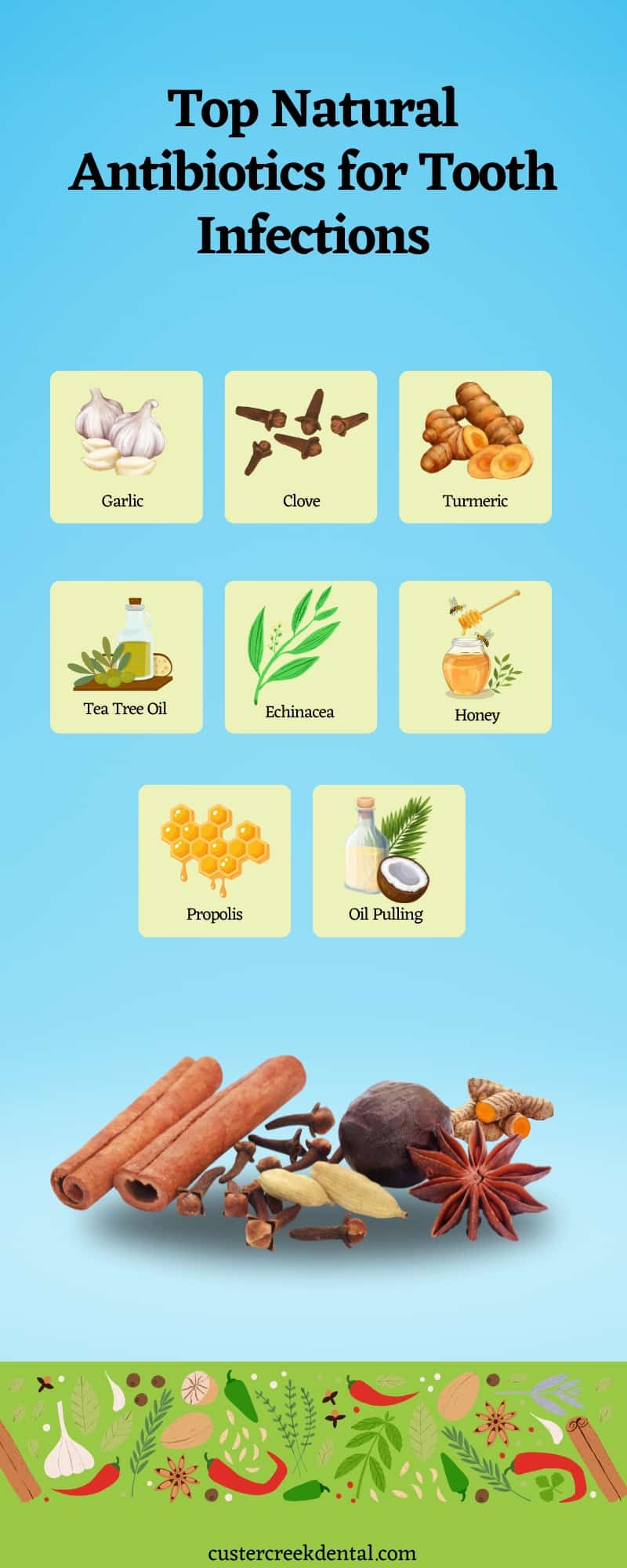 Top Natural Antibiotics for Tooth Infections